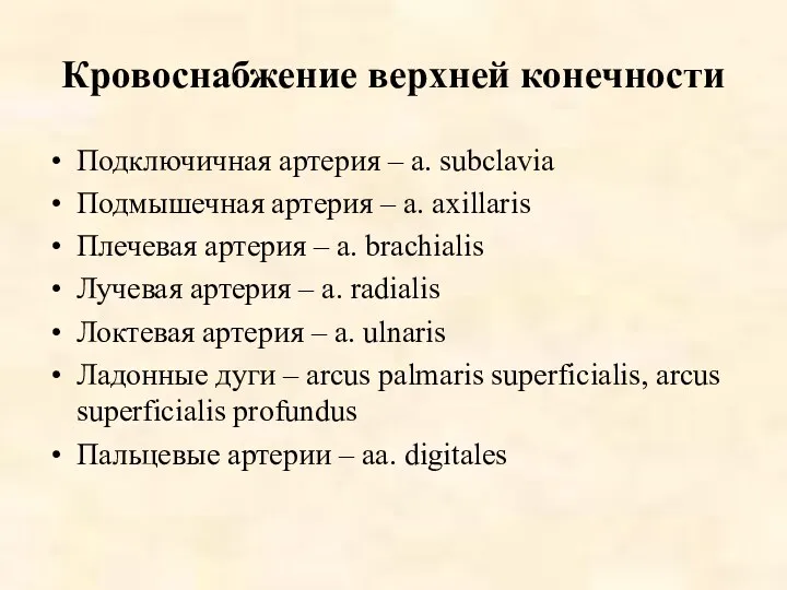 Кровоснабжение верхней конечности Подключичная артерия – a. subclavia Подмышечная артерия