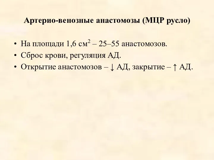 Артерио-венозные анастомозы (МЦР русло) На площади 1,6 см2 – 25–55