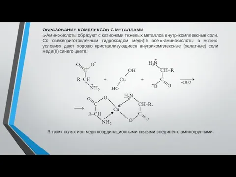 ОБРАЗОВАНИЕ КОМПЛЕКСОВ С МЕТАЛЛАМИ α-Аминокислоты образуют с катионами тяжелых металлов