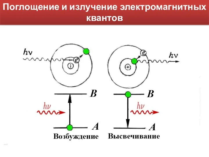 Поглощение и излучение электромагнитных квантов