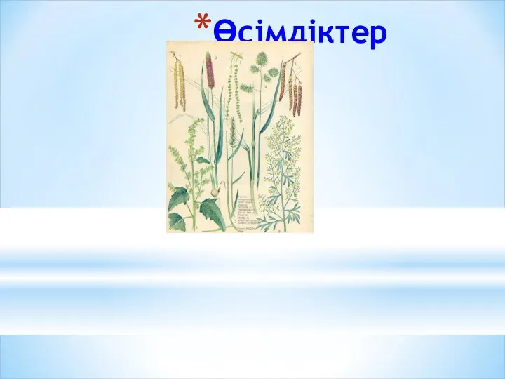 Өсімдіктер