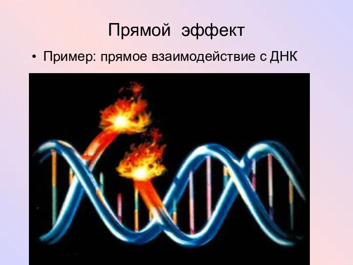 Пример: прямое взаимодействие с ДНК Прямой эффект