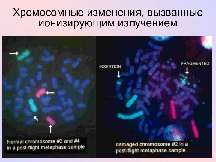 Хромосомные изменения, вызванные ионизирующим излучением