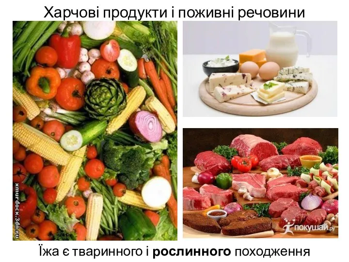 Харчові продукти і поживні речовини Їжа є тваринного і рослинного походження