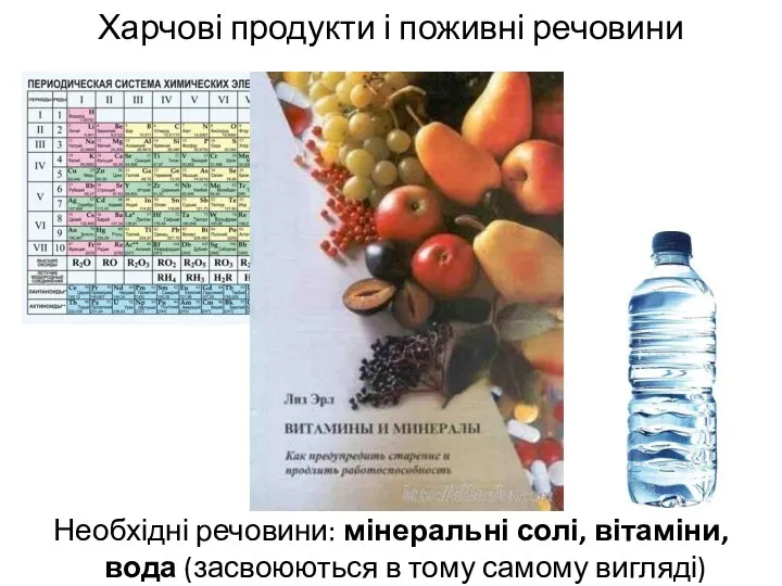 Харчові продукти і поживні речовини Необхідні речовини: мінеральні солі, вітаміни, вода (засвоюються в тому самому вигляді)