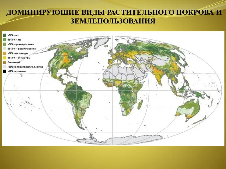 ДОМИНИРУЮЩИЕ ВИДЫ РАСТИТЕЛЬНОГО ПОКРОВА И ЗЕМЛЕПОЛЬЗОВАНИЯ