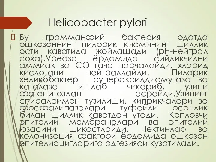 Helicobacter pylori Бу грамманфий бактерия одатда ошкозоннинг пилорик кисмининг шиллик