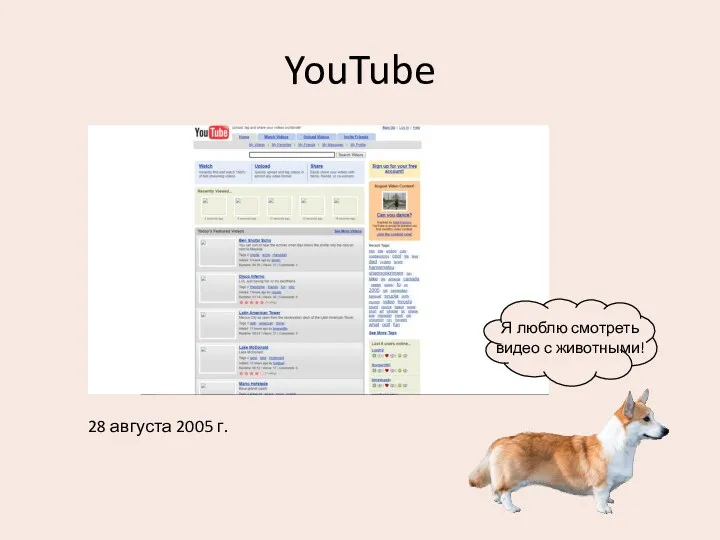 YouTube 28 августа 2005 г. Я люблю смотреть видео с животными!
