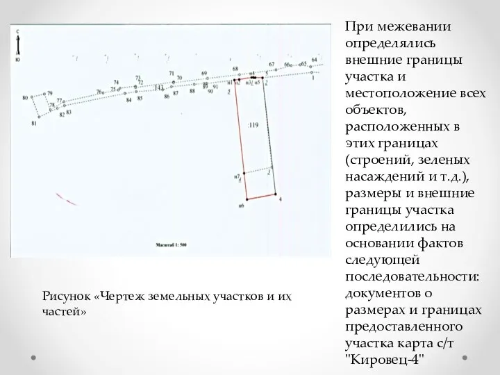 При межевании определялись внешние границы участка и местоположение всех объектов,