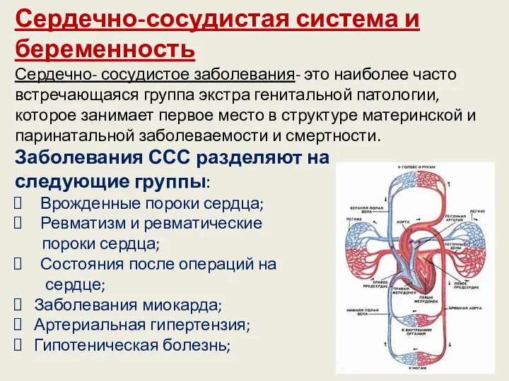 Сердечно-сосудистая система и беременность Сердечно- сосудистое заболевания- это наиболее часто