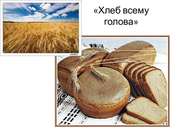 «Хлеб всему голова»