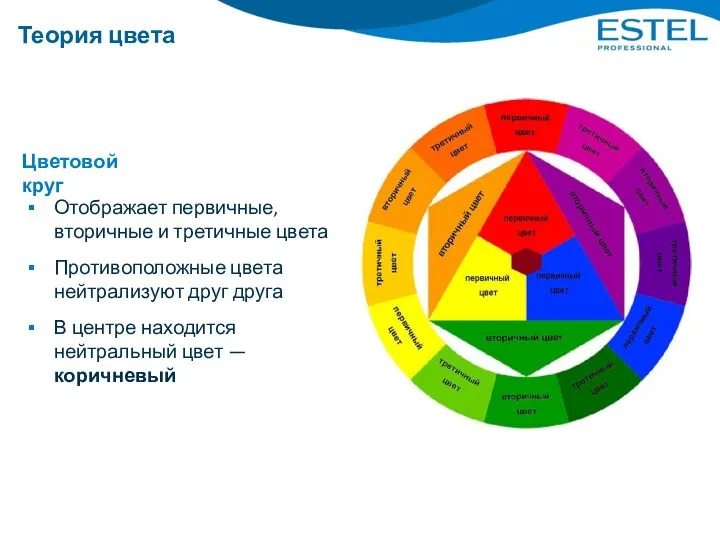 Теория цвета Цветовой круг Отображает первичные, вторичные и третичные цвета