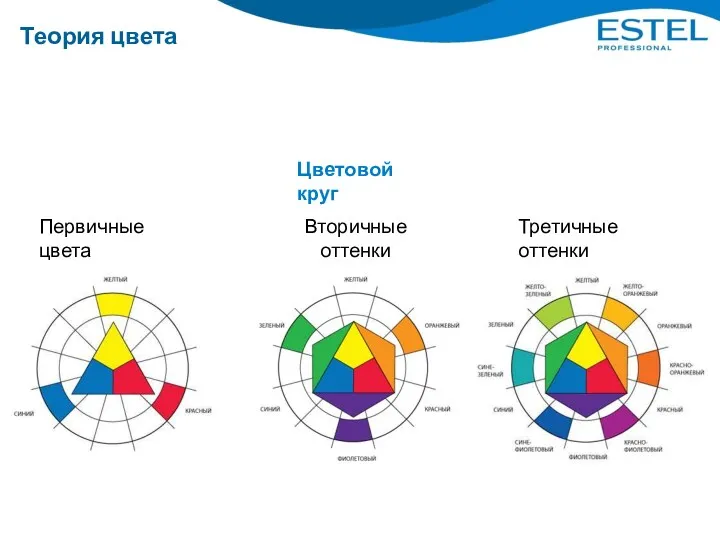 Теория цвета Цветовой круг Первичные цвета Вторичные оттенки Третичные оттенки