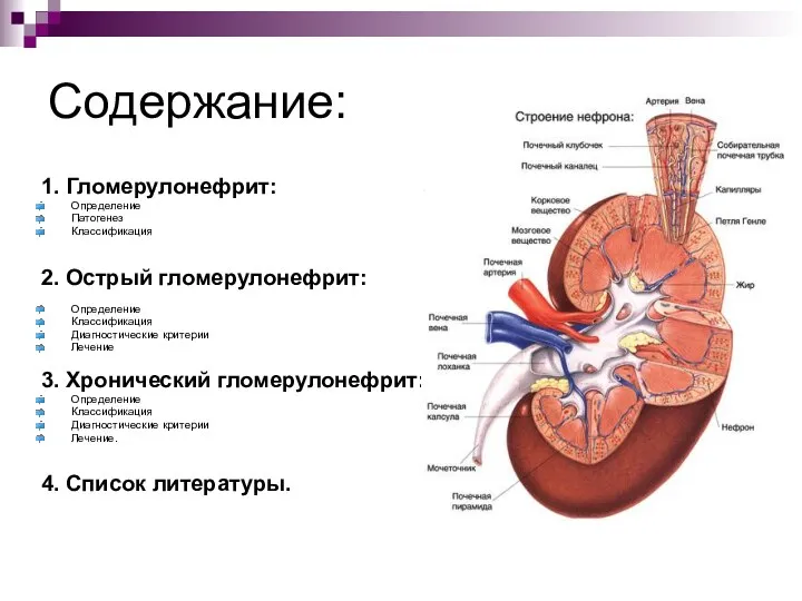 Содержание: 1. Гломерулонефрит: Определение Патогенез Классификация 2. Острый гломерулонефрит: Определение