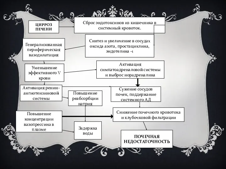 ЦИРРОЗ ПЕЧЕНИ Сброс эндотоксинов из кишечника в системный кровоток. Синтез