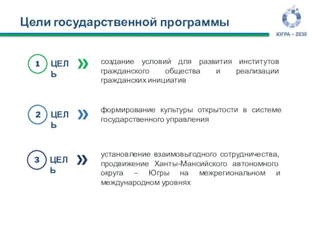 Цели государственной программы создание условий для развития институтов гражданского общества и реализации гражданских