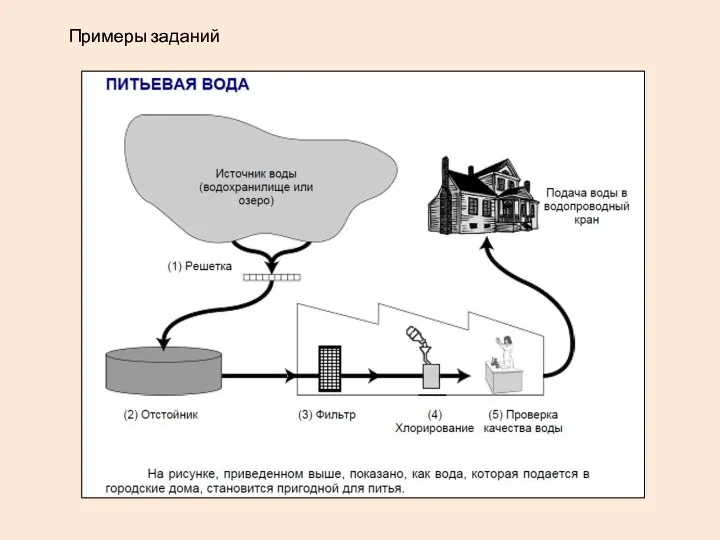 Примеры заданий