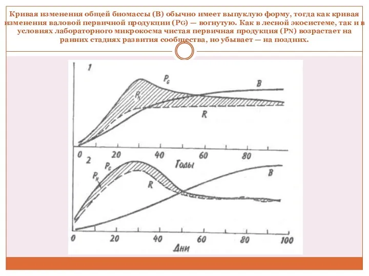 Кривая изменения общей биомассы (B) обычно имеет выпуклую форму, тогда