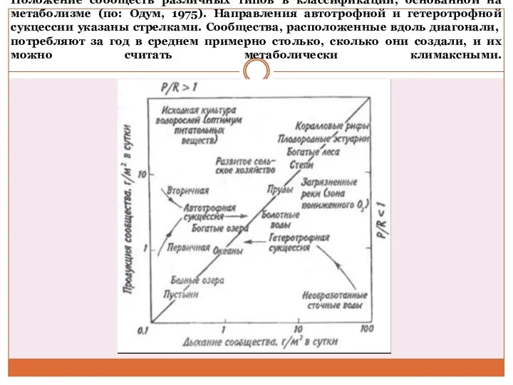 Положение сообществ различных типов в классификации, основанной на метаболизме (по: