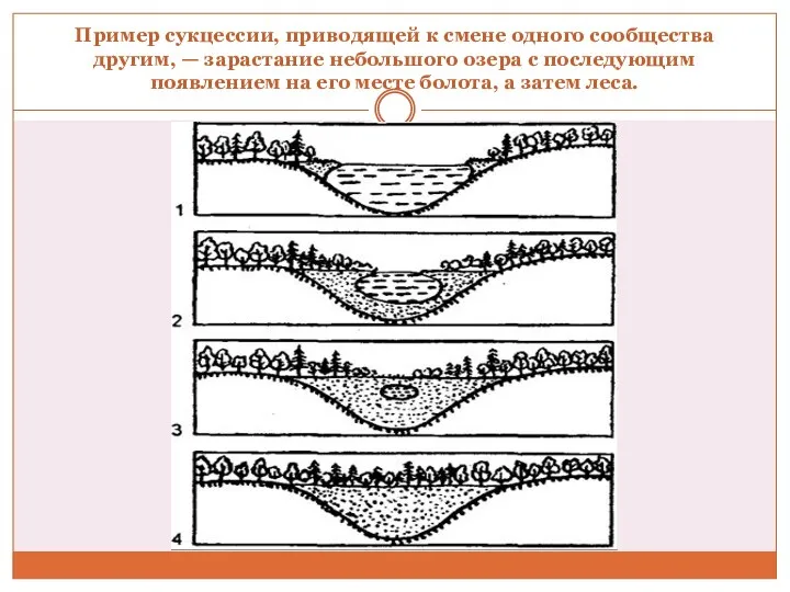 Пример сукцессии, приводящей к смене одного сообщества другим, — зарастание