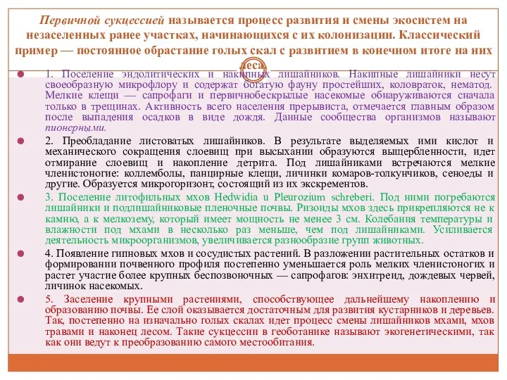 Первичной сукцессией называется процесс развития и смены экосистем на незаселенных