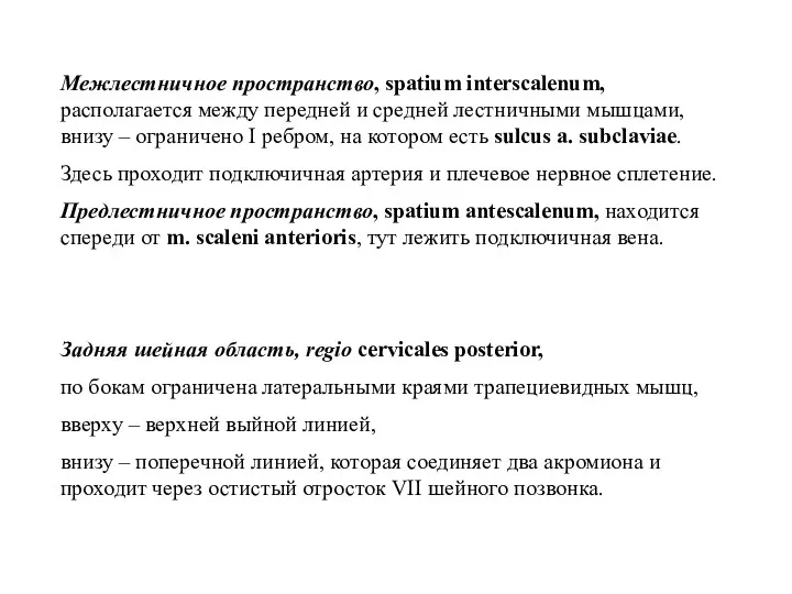 Межлестничное пространство, spatium іnterscalenum, располагается между передней и средней лестничными