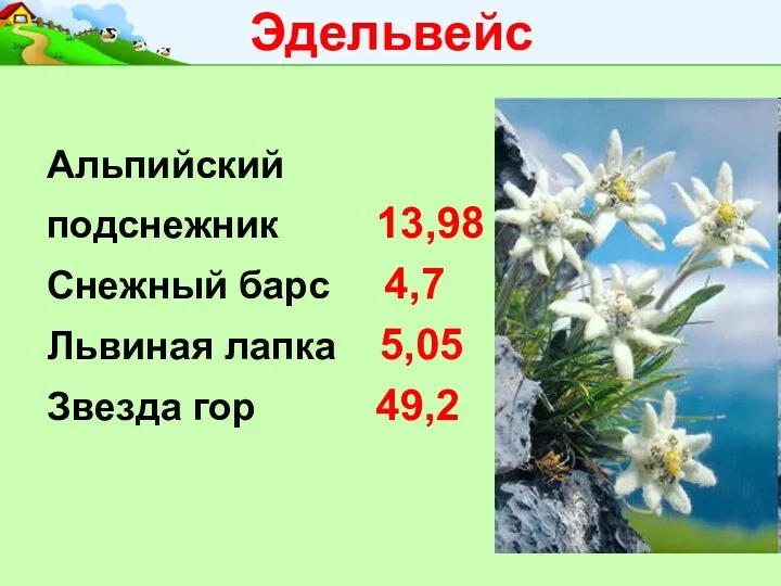 Эдельвейс Альпийский подснежник 13,98 Снежный барс 4,7 Львиная лапка 5,05 Звезда гор 49,2