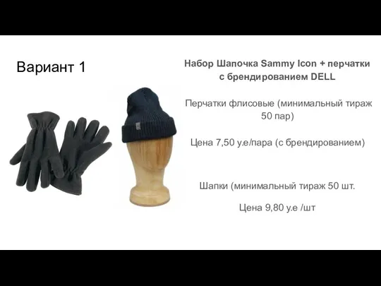 Вариант 1 Набор Шапочка Sammy Icon + перчатки с брендированием