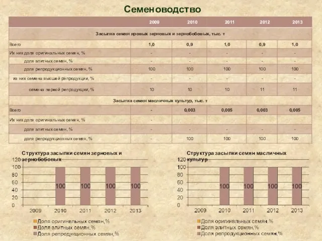 Семеноводство Структура засыпки семян зерновых и зернобобовых Структура засыпки семян масличных культур