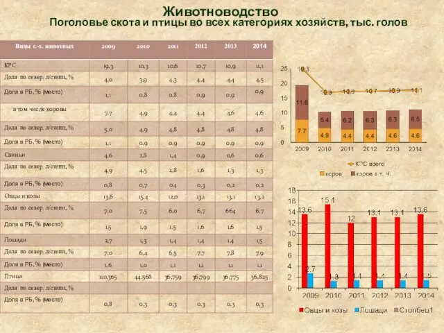 Поголовье скота и птицы во всех категориях хозяйств, тыс. голов Животноводство