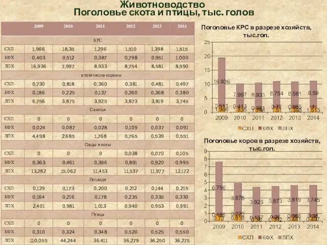 Поголовье скота и птицы, тыс. голов Животноводство Поголовье КРС в