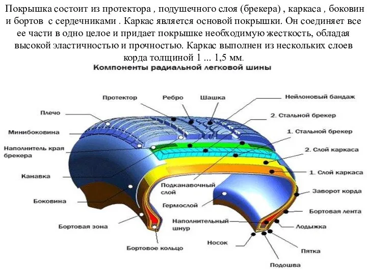 Покрышка состоит из протектора , подушечного слоя (брекера) , каркаса