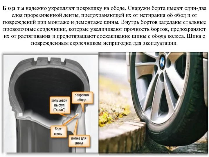 Б о р т а надежно укрепляют покрышку на ободе.