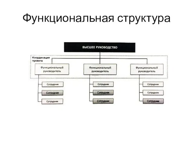 Функциональная структура