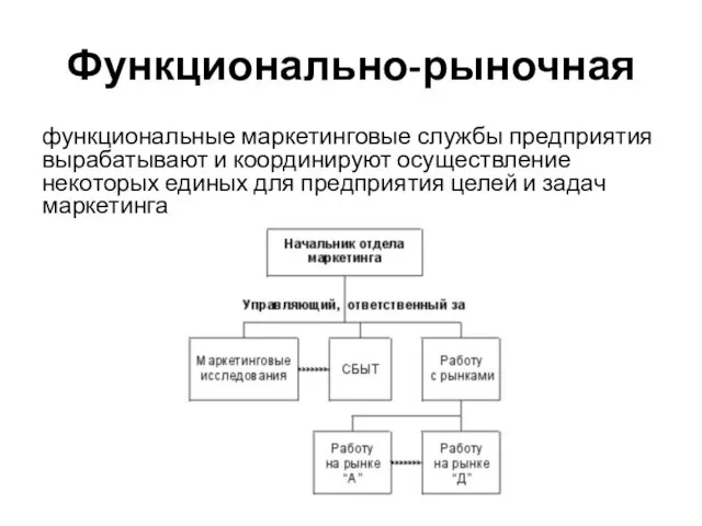 Функционально-рыночная функциональные маркетинговые службы предприятия вырабатывают и координируют осуществление некоторых