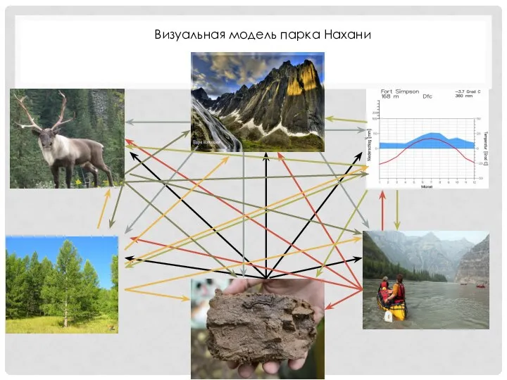 Визуальная модель парка Нахани