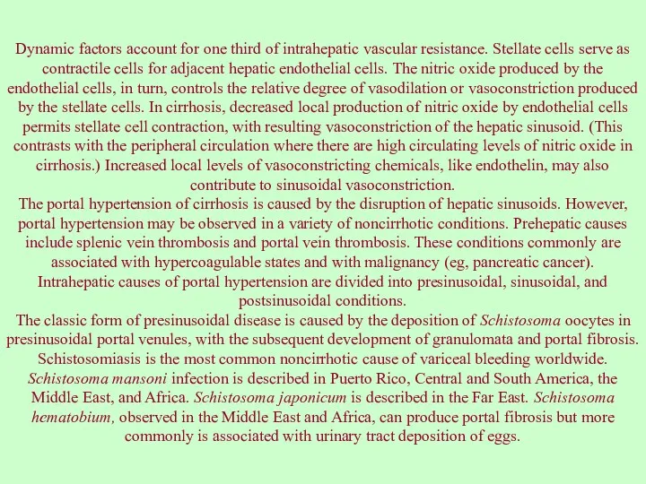 Dynamic factors account for one third of intrahepatic vascular resistance.