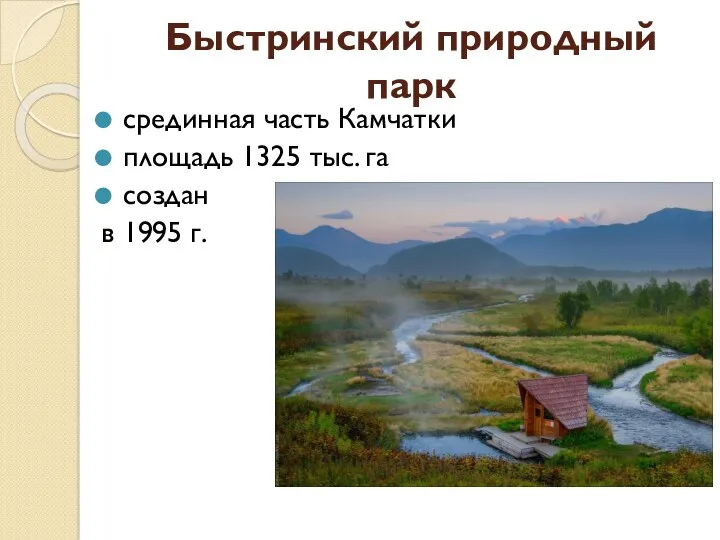 Быстринский природный парк срединная часть Камчатки площадь 1325 тыс. га создан в 1995 г.