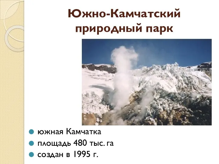 Южно-Камчатский природный парк южная Камчатка площадь 480 тыс. га создан в 1995 г.