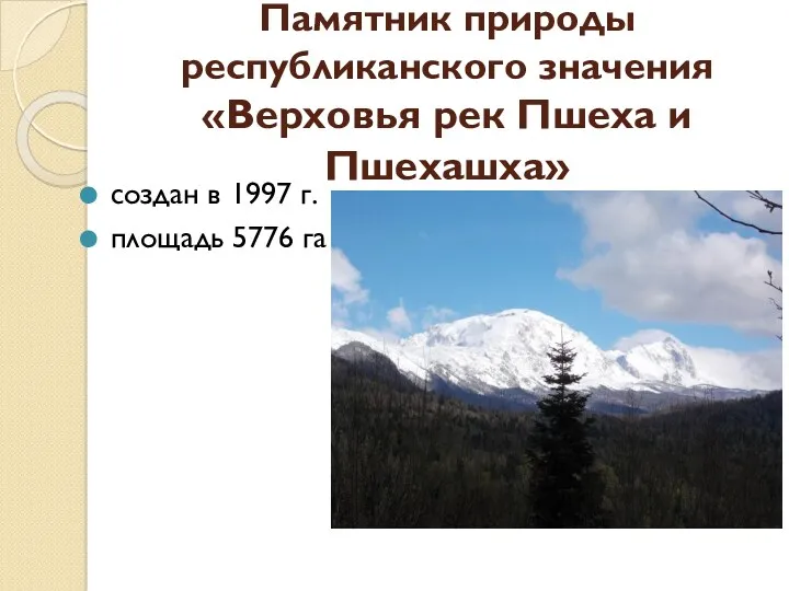 Памятник природы республиканского значения «Верховья рек Пшеха и Пшехашха» создан в 1997 г. площадь 5776 га