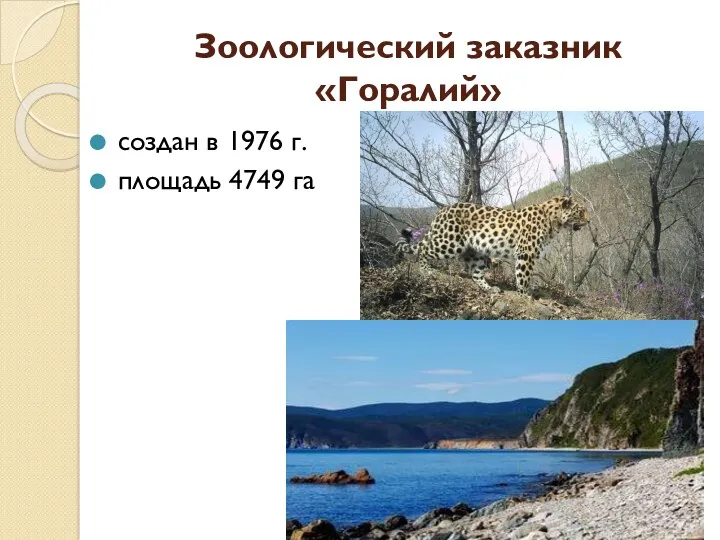 Зоологический заказник «Горалий» создан в 1976 г. площадь 4749 га