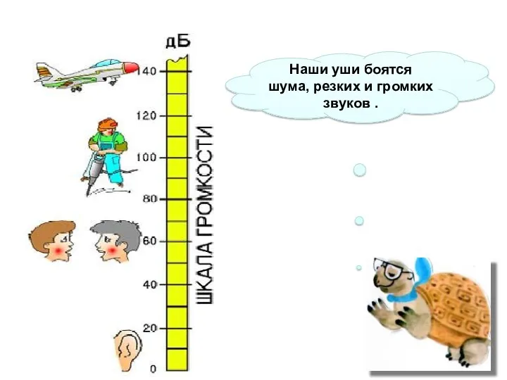 Наши уши боятся шума, резких и громких звуков .