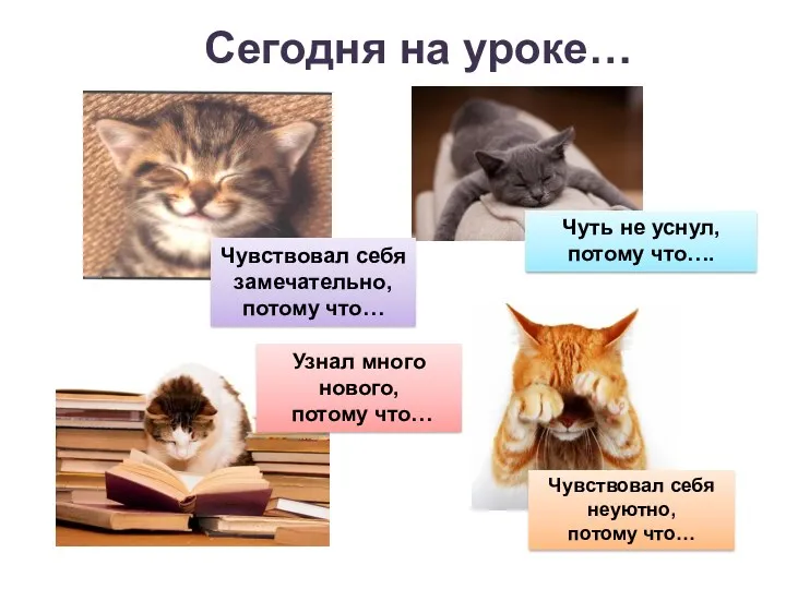 Сегодня на уроке… Чувствовал себя замечательно, потому что… Узнал много