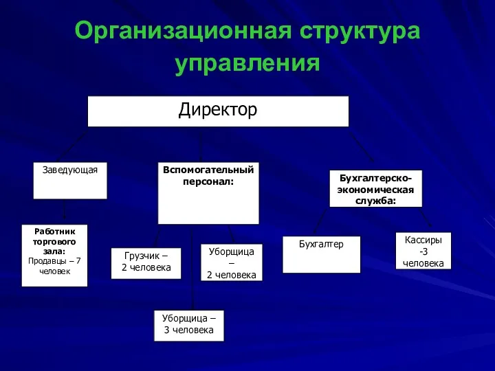 Организационная структура управления Директор Работник торгового зала: Продавцы – 7