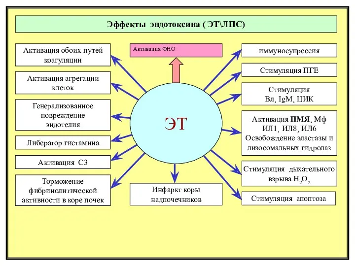 Терапия: зависит от ВИДА шока и стадии анальгетики¸ восполнение объема