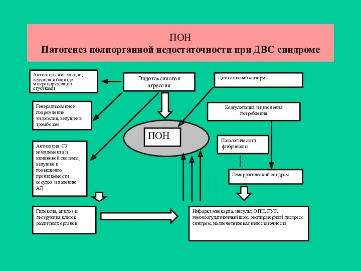 ПОН Патогенез полиорганной недостаточности при ДВС синдроме ПОН Активация коагуляции,