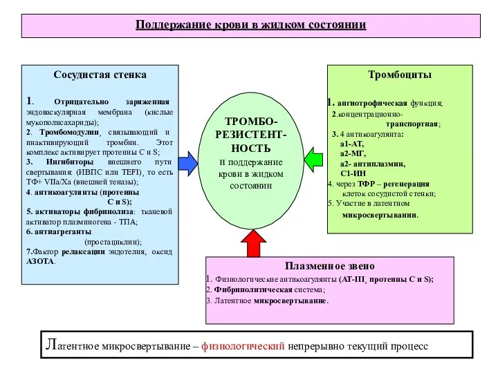 ТРОМБО- РЕЗИСТЕНТ-НОСТЬ и поддержание крови в жидком состоянии Сосудистая стенка