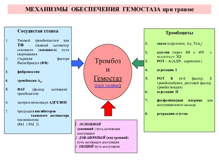 Тромбоз и Гемостаз (при травме) Сосудистая стенка Таневой тромбопластин или