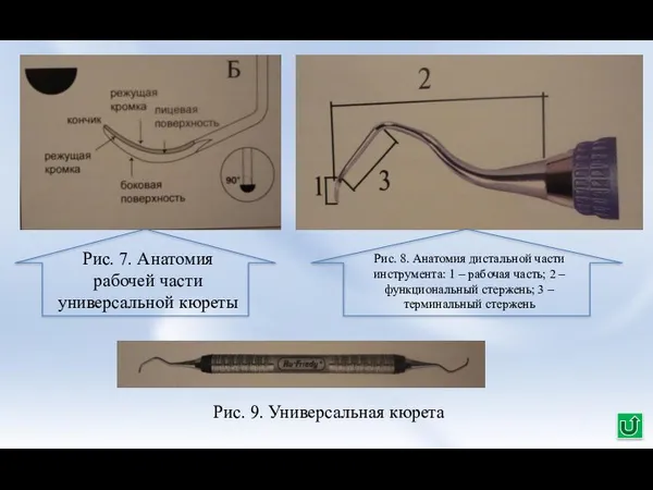 Рис. 7. Анатомия рабочей части универсальной кюреты Рис. 9. Универсальная