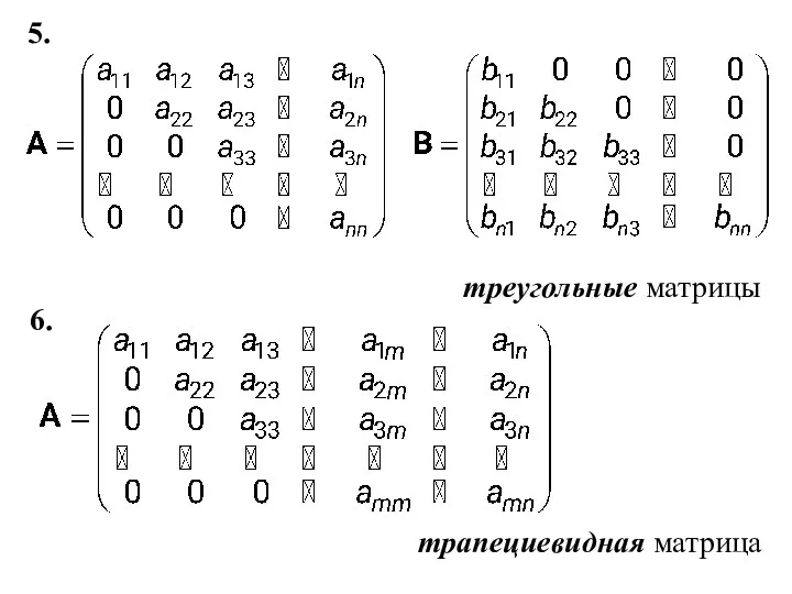 5. треугольные матрицы 6. трапециевидная матрица